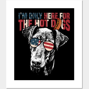 Doberman Shirt Funny 4th of July Pup Tee Posters and Art